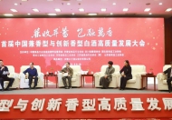 華夏酒報總編輯吳賢國：香型創(chuàng)新是區(qū)域酒企的“自救”機遇